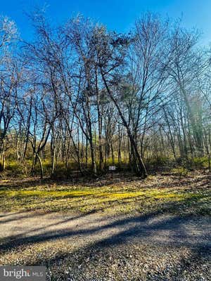 LOT: 43 PARADISE POINT, JAMES CREEK, PA 16657, photo 3 of 8