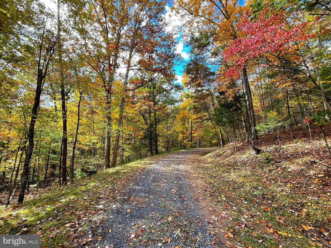 0 BASSWOOD, MOUNT JACKSON, VA 22842, photo 1 of 5