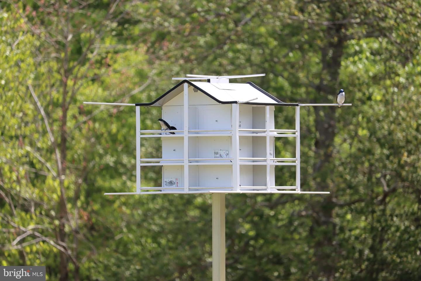 Bumpass, Virginia, 23024, United States, 1 Bedroom Bedrooms, ,2 BathroomsBathrooms,Residential,Active,1953381