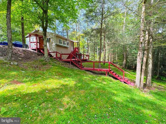 21 SASSAFRAS LN, EQUINUNK, PA 18417 - Image 1