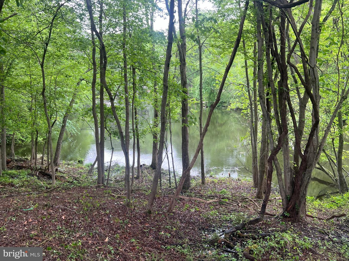 Pasadena, Maryland, 21122, United States, 6 Bedrooms Bedrooms, ,6 BathroomsBathrooms,Residential,Active,2006889