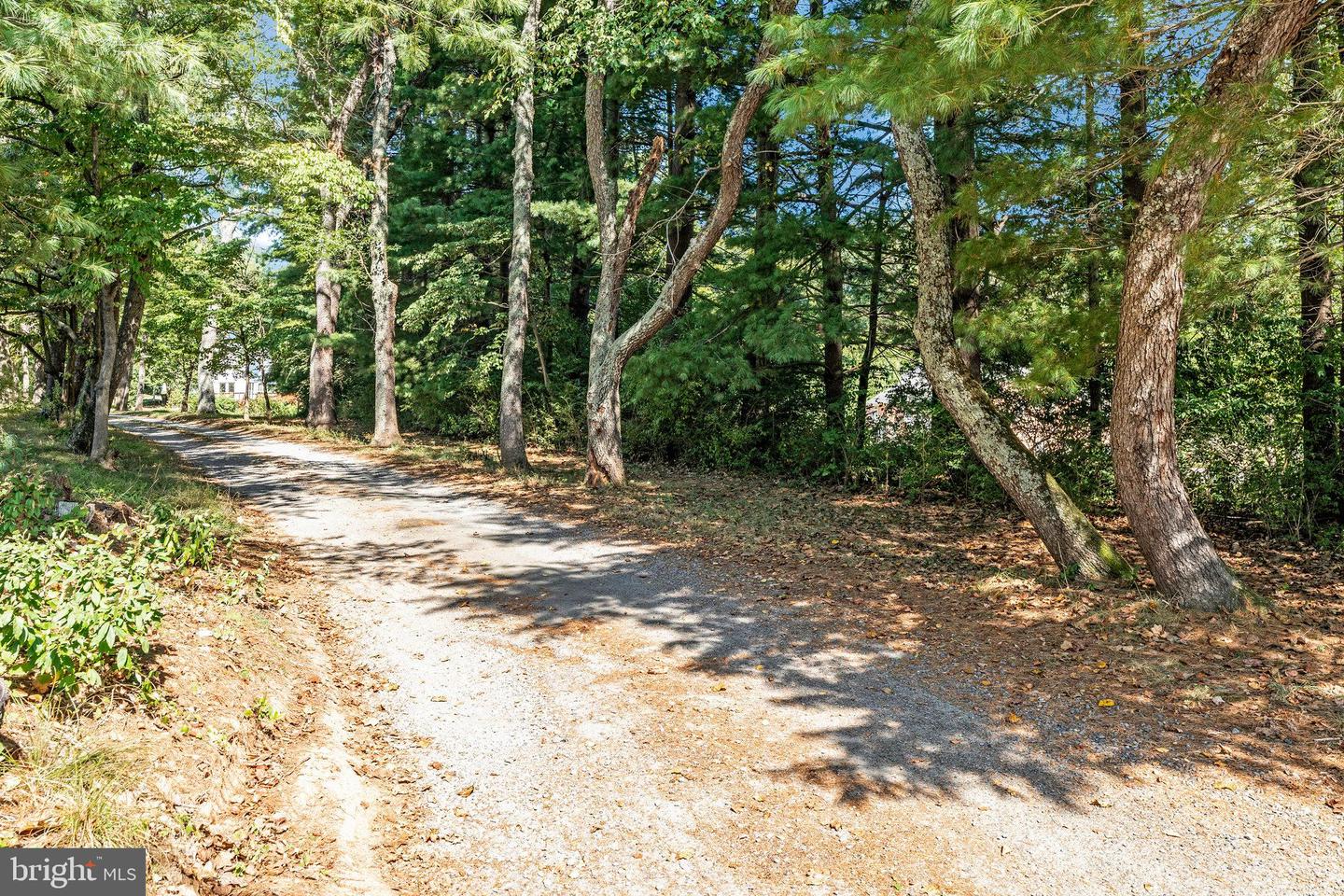 Oakton, Virginia, 22124, United States, 6 Bedrooms Bedrooms, ,8 BathroomsBathrooms,Residential,Active,1945467