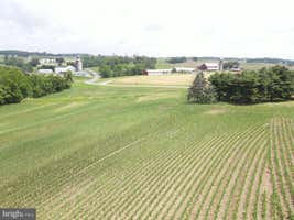 Property 38