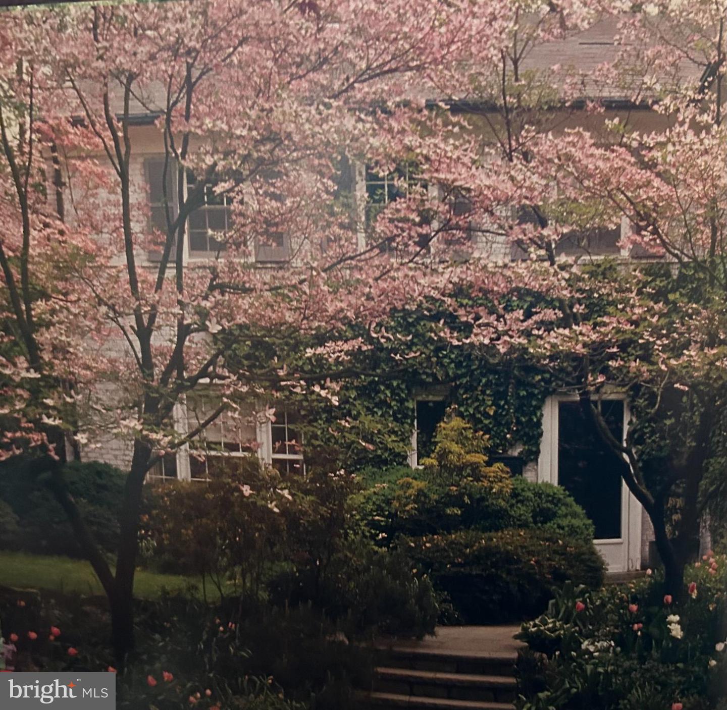 Washington, District Of Columbia, 20007, United States, ,Residential,Active,2002600