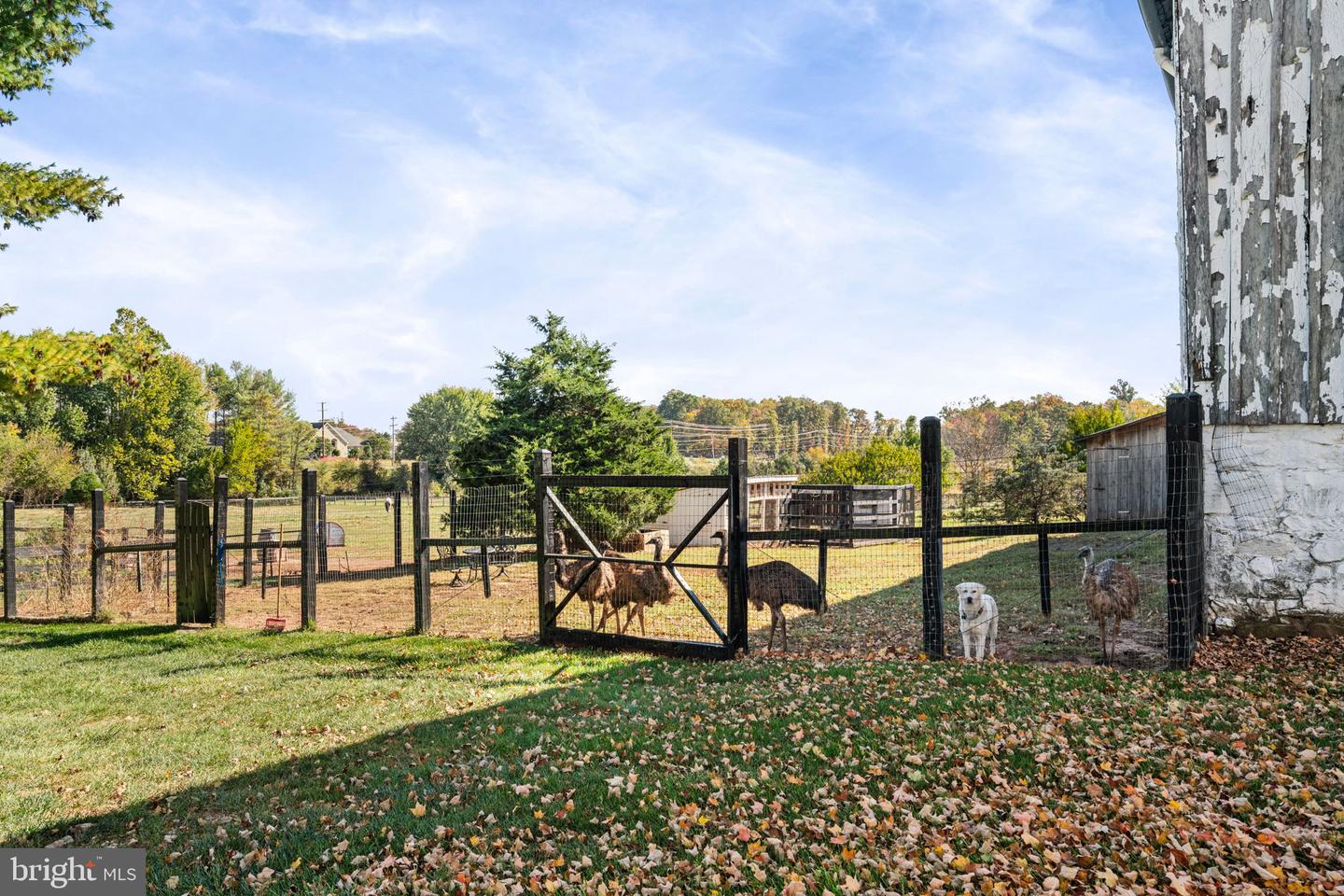 Leesburg, Virginia, 20175, United States, 4 Bedrooms Bedrooms, ,5 BathroomsBathrooms,Residential,Active,2011862