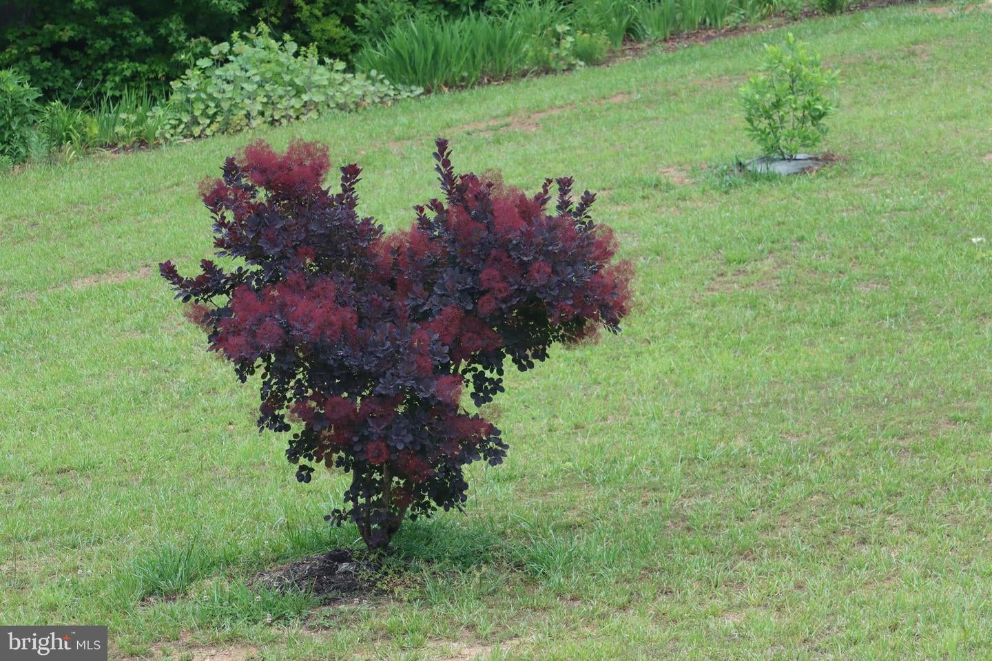 Bumpass, Virginia, 23024, United States, 1 Bedroom Bedrooms, ,2 BathroomsBathrooms,Residential,Active,1953381