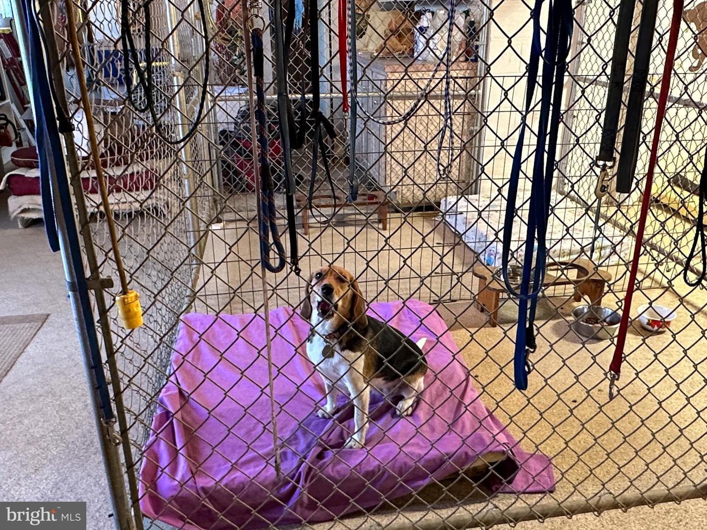 Downingtown, Pennsylvania, 19335, United States, 3 Bedrooms Bedrooms, ,2 BathroomsBathrooms,Residential,Active,1892412