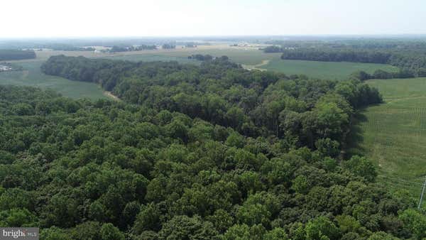 BLOOMINGDALE ROAD, WYE MILLS, MD 21679 - Image 1