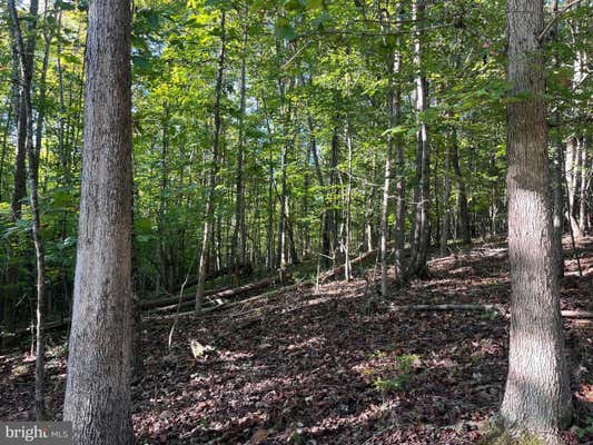 0 DREAMING CREEK HOLLOW, AMHERST, VA 24521, photo 3 of 17