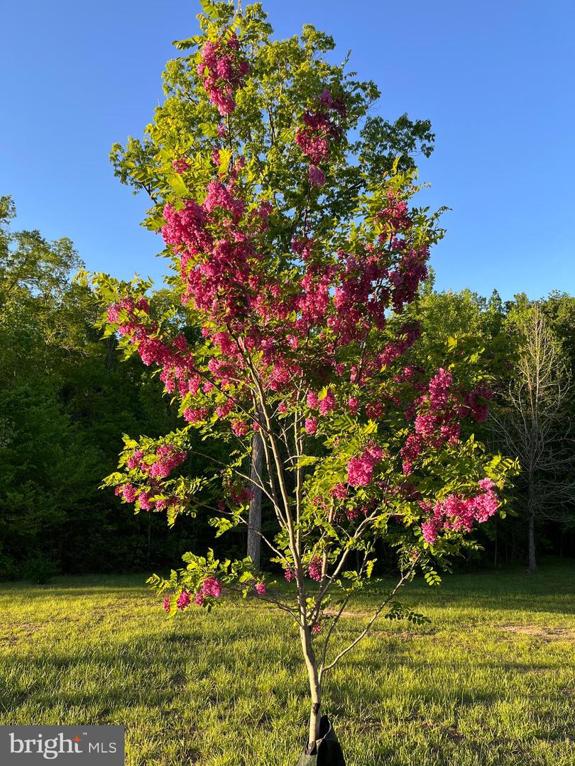 Bumpass, Virginia, 23024, United States, 1 Bedroom Bedrooms, ,2 BathroomsBathrooms,Residential,Active,1953381