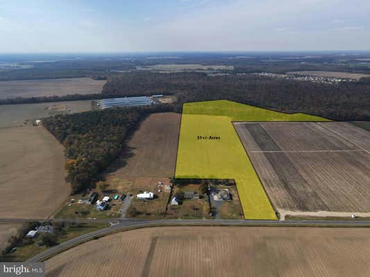 31 ACRES CLENDANIEL POND, LINCOLN, DE 19960 - Image 1