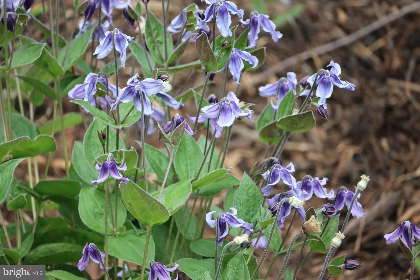 Bumpass, Virginia, 23024, United States, 1 Bedroom Bedrooms, ,2 BathroomsBathrooms,Residential,Active,1953381