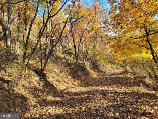 LOT 19 SOUTH WEST SLOPE, STAR TANNERY, VA 22654, photo 2 of 33