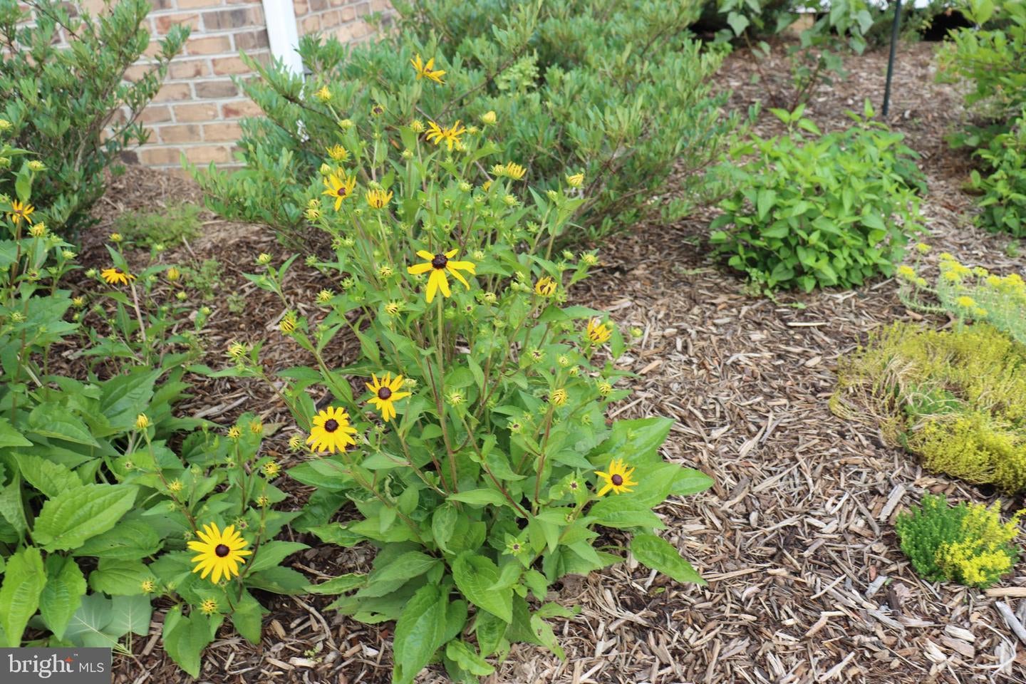 Bumpass, Virginia, 23024, United States, 1 Bedroom Bedrooms, ,2 BathroomsBathrooms,Residential,Active,1953381