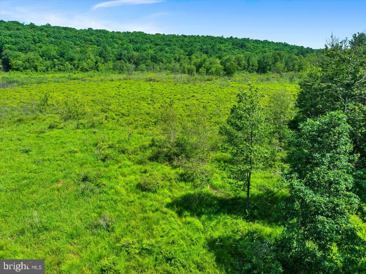 White Haven, Pennsylvania, 18661, United States, 5 Bedrooms Bedrooms, ,3 BathroomsBathrooms,Residential,Active,1888981