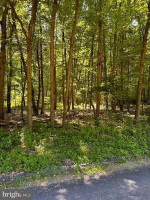 0 KLINE HOLLOW RD LOT 2, LIVERPOOL, PA 17045 - Image 1