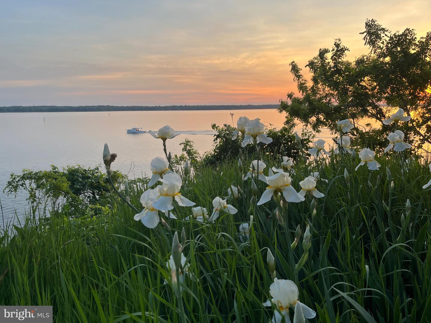 Lusby, Maryland, 20657, United States, 4 Bedrooms Bedrooms, ,3 BathroomsBathrooms,Residential,Active,2024177