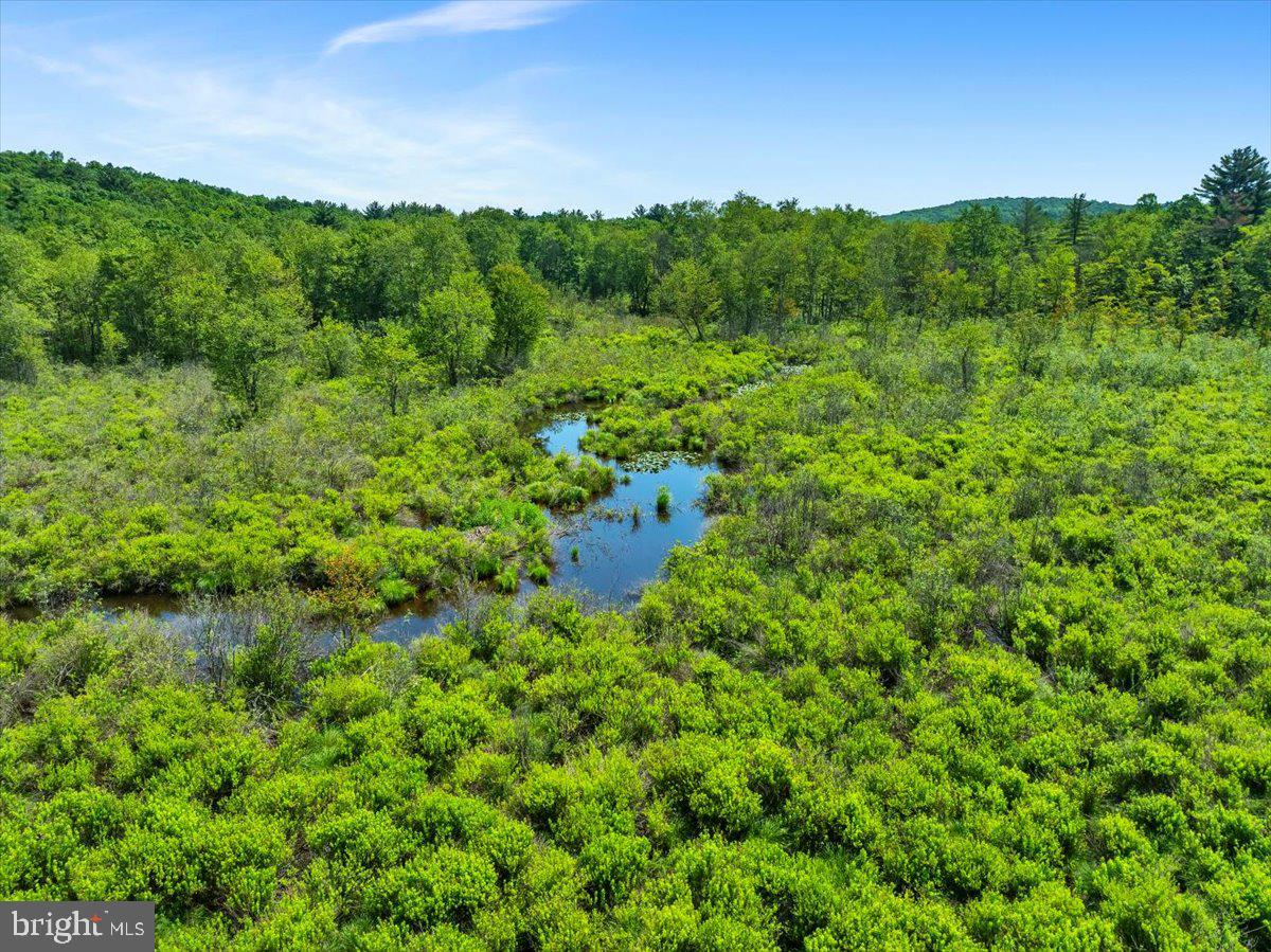 White Haven, Pennsylvania, 18661, United States, 5 Bedrooms Bedrooms, ,3 BathroomsBathrooms,Residential,Active,1888981