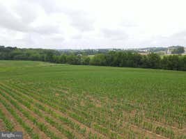 Property 61