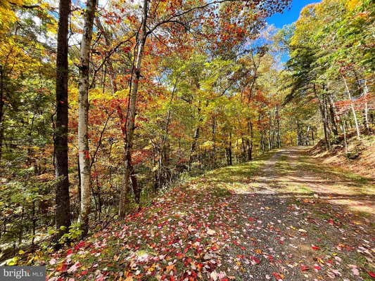 0 BASSWOOD, MOUNT JACKSON, VA 22842, photo 5 of 5