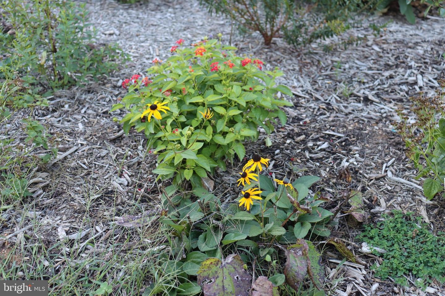 Bumpass, Virginia, 23024, United States, 1 Bedroom Bedrooms, ,2 BathroomsBathrooms,Residential,Active,1953381