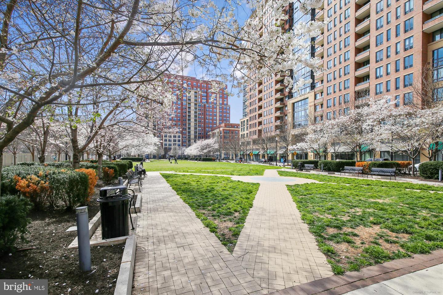 Arlington, Virginia, 22202, United States, 5 Bedrooms Bedrooms, ,3 BathroomsBathrooms,Residential,Active,1926909