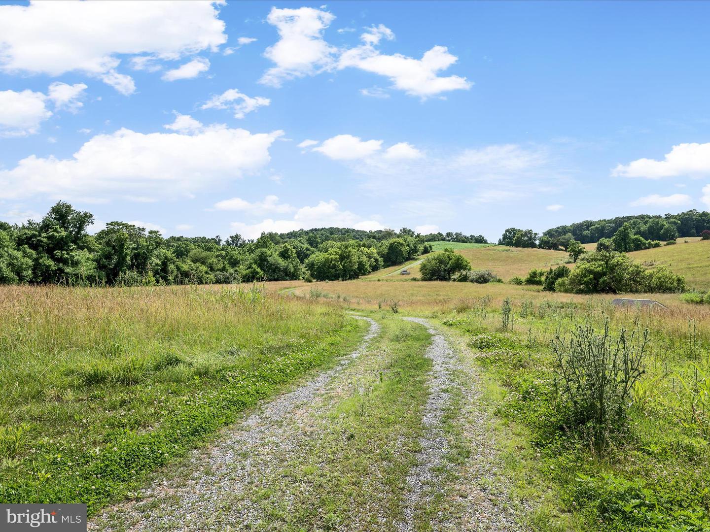 Berryville, Virginia, 22611, United States, 4 Bedrooms Bedrooms, ,3 BathroomsBathrooms,Residential,Active,1884871