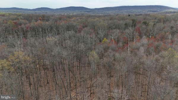 6751 BEVERLY RD, BROAD RUN, VA 20137, photo 5 of 8