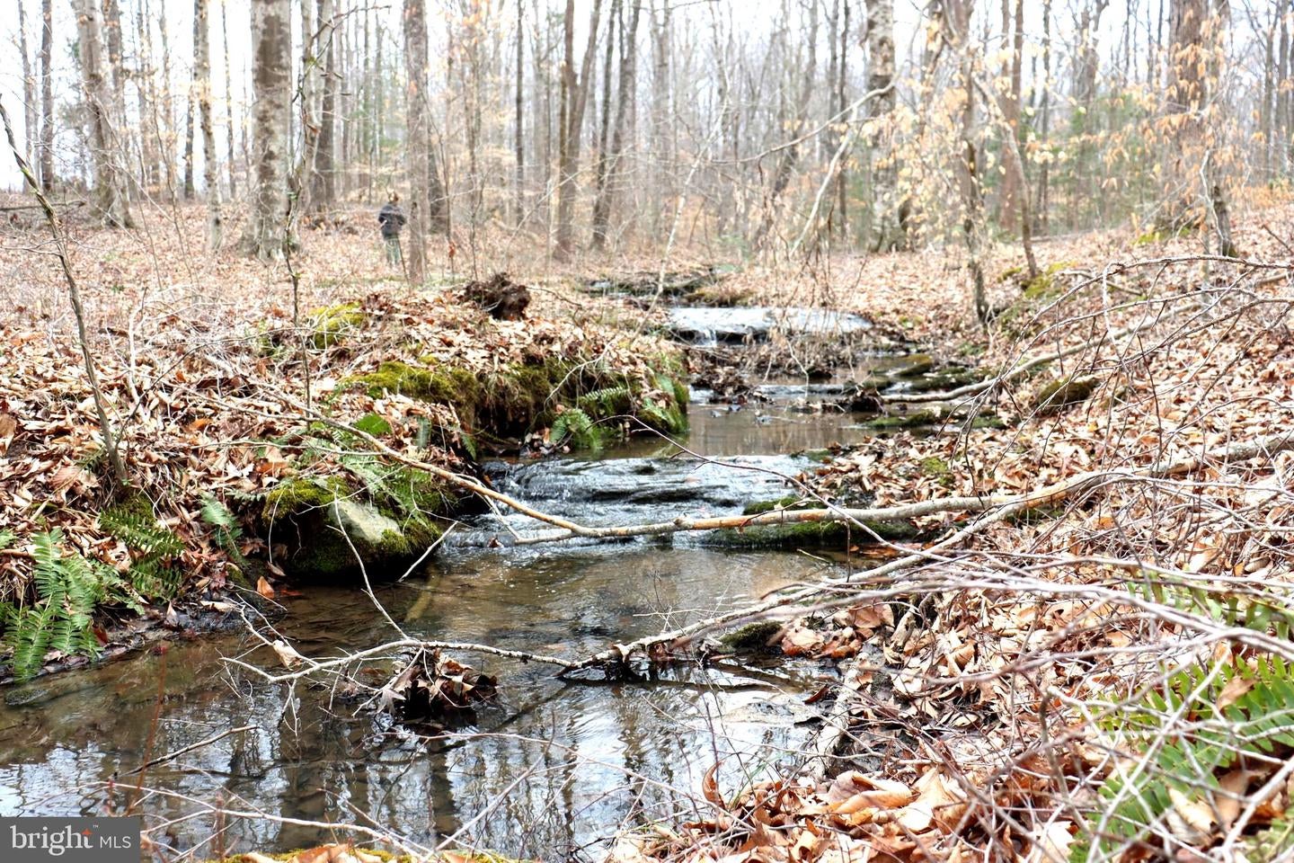 Bumpass, Virginia, 23024, United States, 1 Bedroom Bedrooms, ,2 BathroomsBathrooms,Residential,Active,1953381