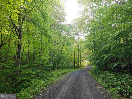 TRACT 1 JOHN ORR/ SAND PLANT ROAD, INDEPENDENCE, WV 26374, photo 4 of 24