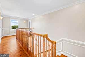 Property 31