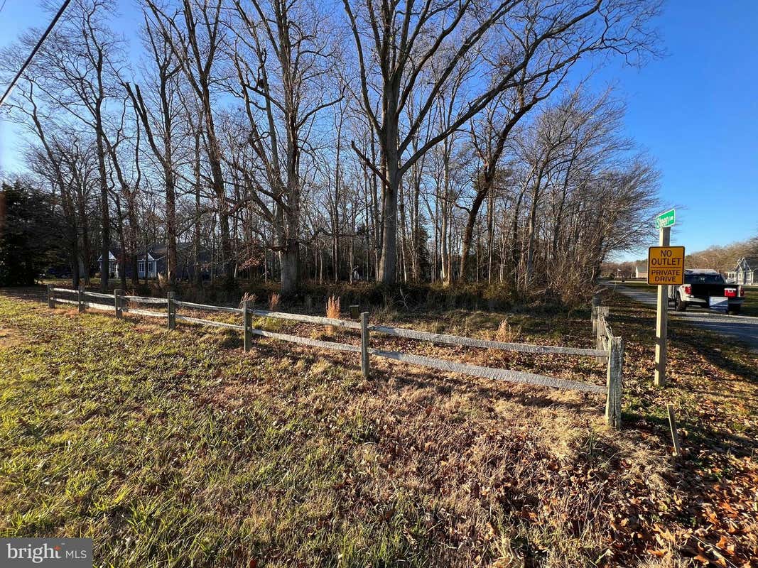 LOT 1 N PINEY NECK RD, DAGSBORO, DE 19939, photo 1 of 3