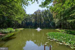 Property 52