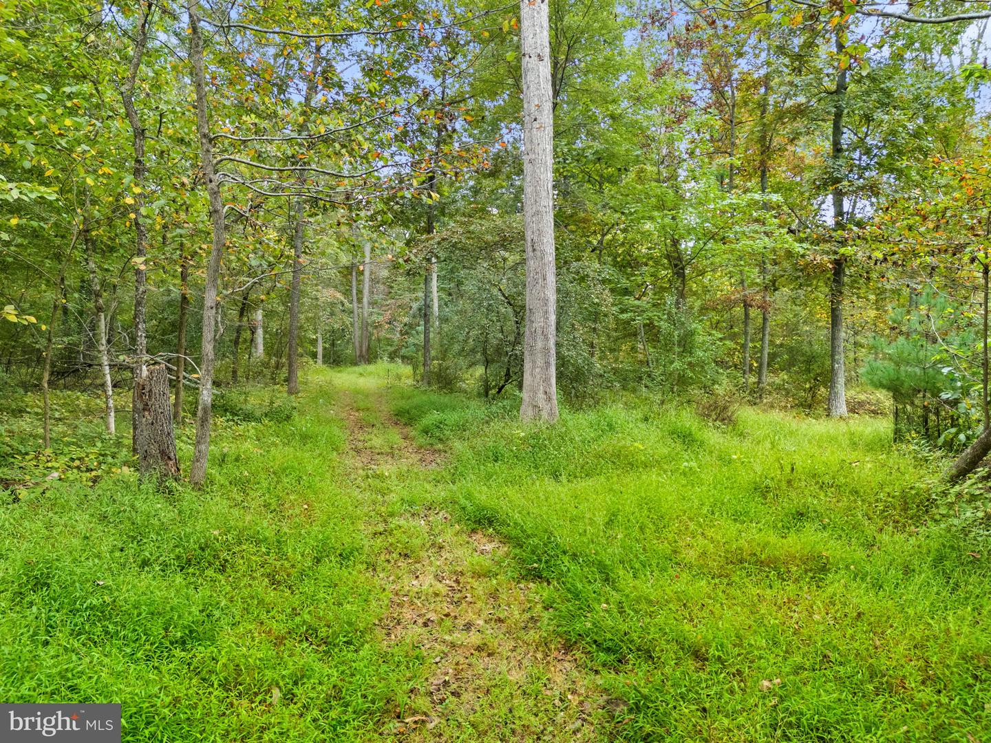 Ashburn, Virginia, 20148, United States, 5 Bedrooms Bedrooms, ,6 BathroomsBathrooms,Residential,Active,1952301