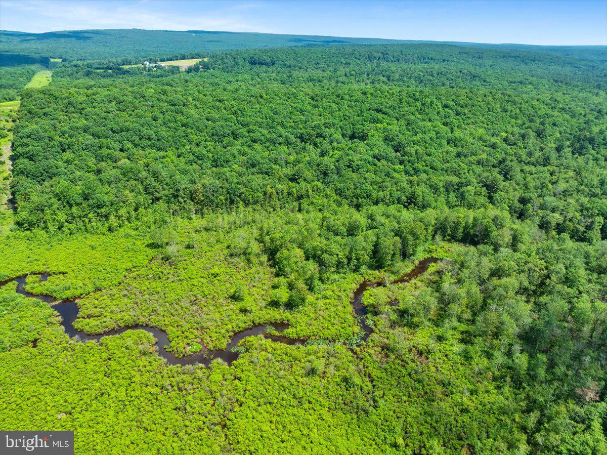 White Haven, Pennsylvania, 18661, United States, 5 Bedrooms Bedrooms, ,3 BathroomsBathrooms,Residential,Active,1888981