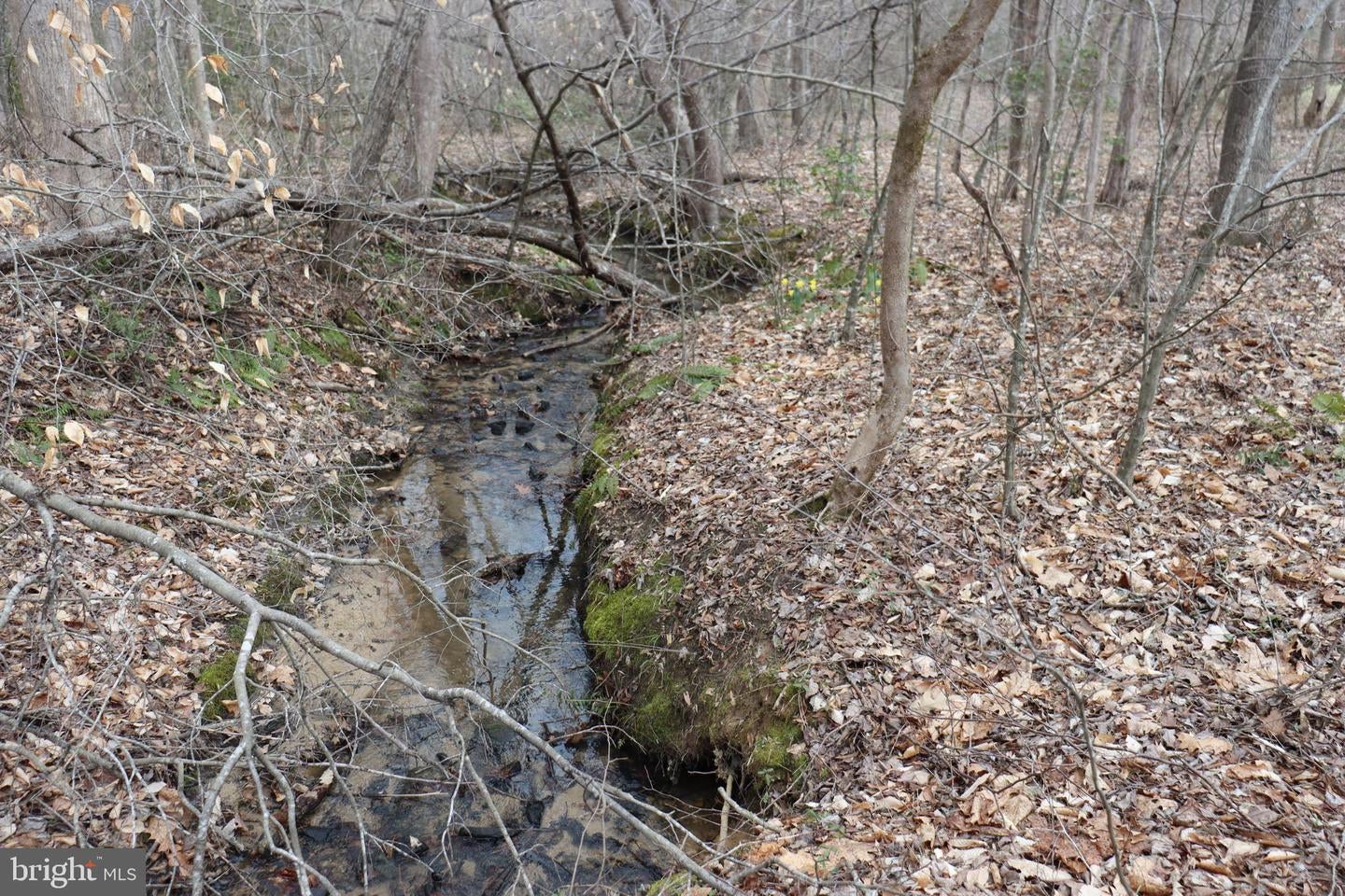 Bumpass, Virginia, 23024, United States, 1 Bedroom Bedrooms, ,2 BathroomsBathrooms,Residential,Active,1953381