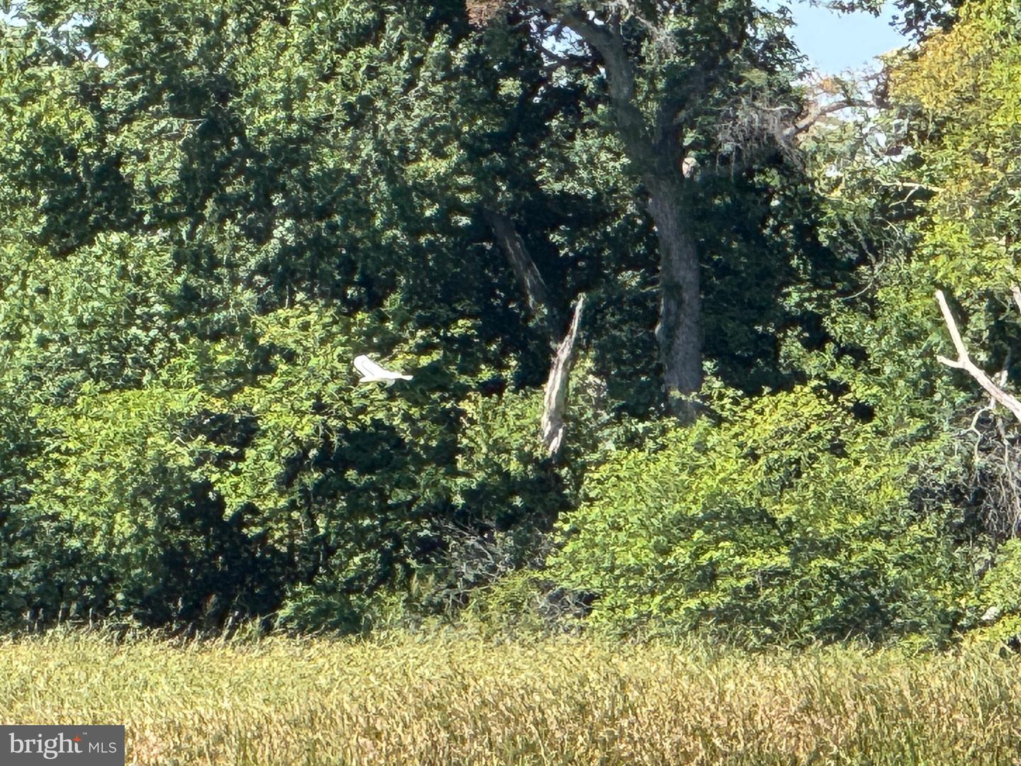 Delanco, New Jersey, 08075, United States, 5 Bedrooms Bedrooms, ,3 BathroomsBathrooms,Residential,Active,1914605