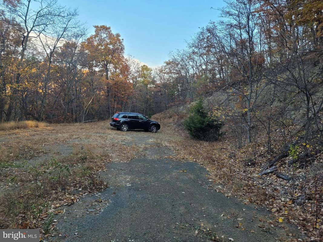 LOT 19 SOUTH WEST SLOPE, STAR TANNERY, VA 22654, photo 1 of 33