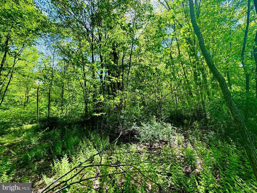 LOT: 43 PARADISE POINT, JAMES CREEK, PA 16657, photo 1 of 8