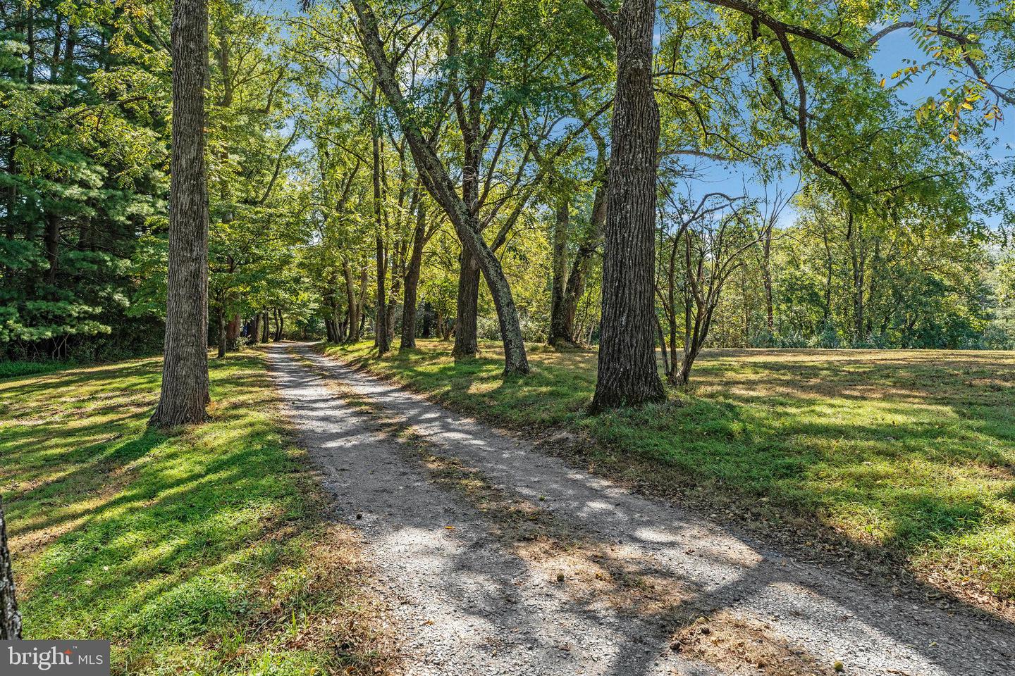 Oakton, Virginia, 22124, United States, 6 Bedrooms Bedrooms, ,8 BathroomsBathrooms,Residential,Active,1945467