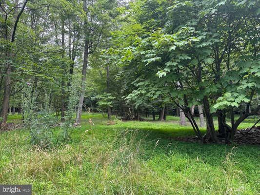 LOT ON LAUREL LANE, WARRIORS MARK, PA 16877, photo 2 of 4