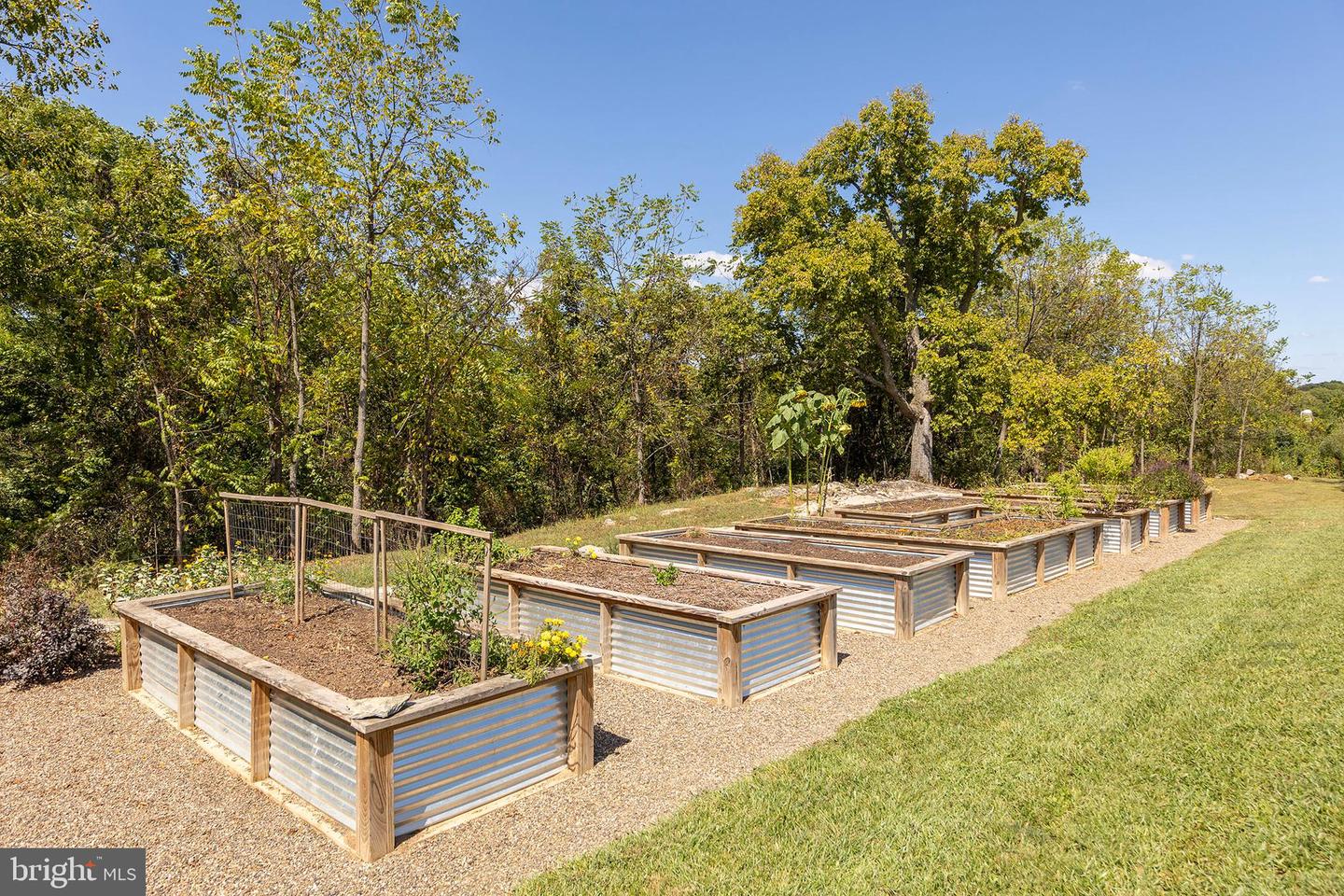 Berryville, Virginia, 22611, United States, 4 Bedrooms Bedrooms, ,4 BathroomsBathrooms,Residential,Active,1945547