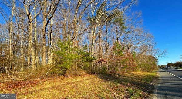 8082 BROOMES ISLAND RD, BROOMES ISLAND, MD 20615 - Image 1