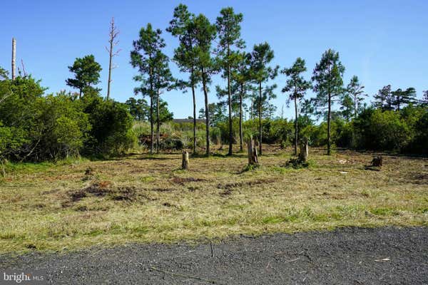 LOT 19E OAK DRIVE, CHINCOTEAGUE ISLAND, VA 23336 - Image 1