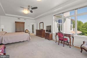 Property 50