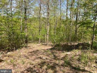 119 ACRES SHEIRER ROAD, BUFFALO MILLS, PA 15534 - Image 1