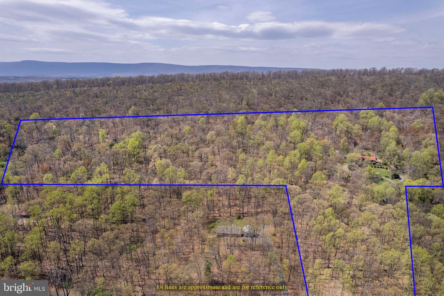 Winchester, Virginia, 22602, United States, 4 Bedrooms Bedrooms, ,4 BathroomsBathrooms,Residential,Active,1771431