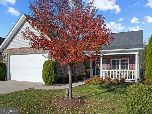 117 SADI CT, STEPHENS CITY, VA 22655 - Image 1