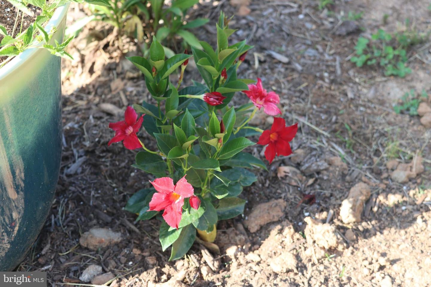 Bumpass, Virginia, 23024, United States, 1 Bedroom Bedrooms, ,2 BathroomsBathrooms,Residential,Active,1953381