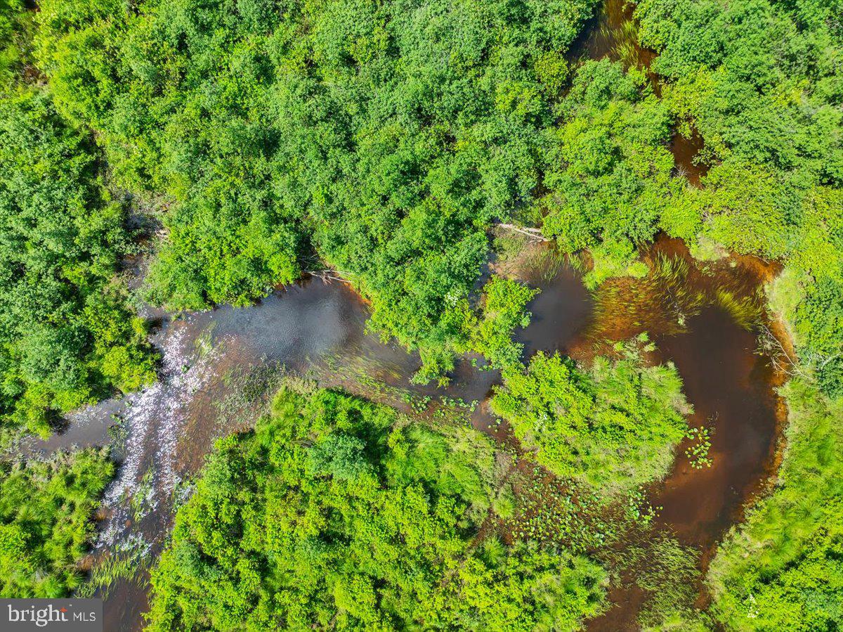 White Haven, Pennsylvania, 18661, United States, 5 Bedrooms Bedrooms, ,3 BathroomsBathrooms,Residential,Active,1888981